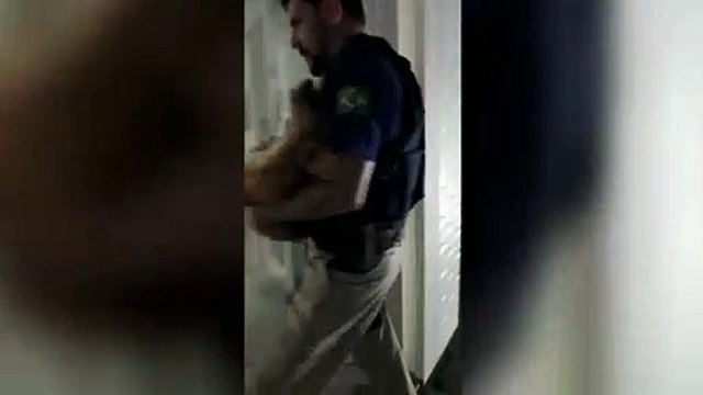 SC: Policiais rodoviários federais resgatam cachorro atropelado