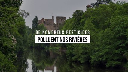 Les rivières françaises envahies par les pesticides