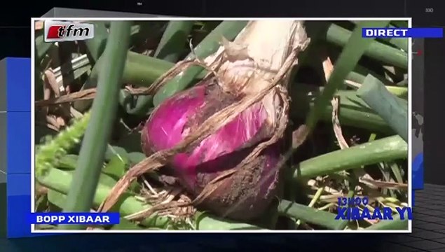 REPLAY - Xibar Yi 13h - Pr : SOKHNA NATTA MBAYE - 16 Avril 2019