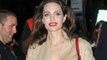 Angelina Jolie retira 'Pitt' de sobrenome