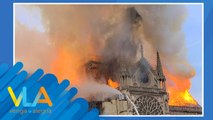 Así sucedió el devastador incendio en la Catedral de Notre Dame.  | Venga La Alegría