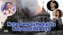 Notre Dame Cathedral fire | History in Ashes- Bollywood REACTS
