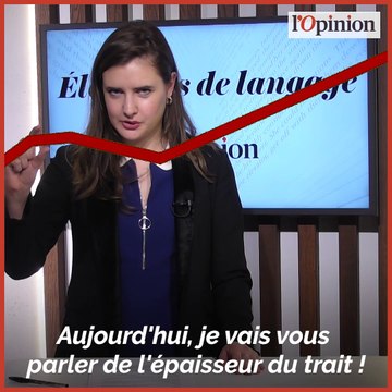 L’élément de langage à utiliser cette semaine: l’épaisseur du trait