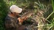 record breaking fish mirror carp barbel & pike Part 2 of 2