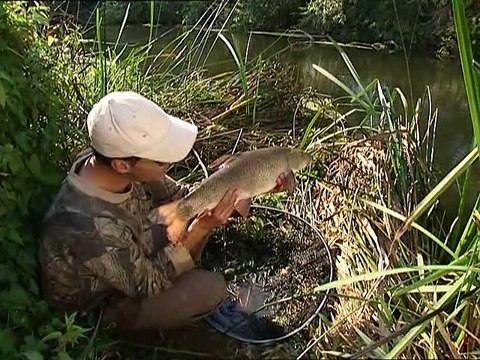 record breaking fish mirror carp barbel & pike Part 2 of 2