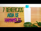 Agua de Hamamelis ¿Para qué sirve? - Cuidado facial y piel - Tips de Belleza - Catwalk