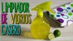 Cómo hacer Limpiador de Vidrios Casero - De Limón - Hogar Ecológico - Catwalk