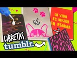 LAS 4 MEJORES IDEAS PARA DECORAR TUS CUADERNOS - REGRESO A CLASES ✏️  CATWALK ❤