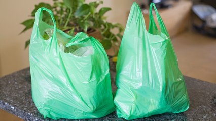 Banning Plastic Bags Might Not Be the Best Environmental Choice After All