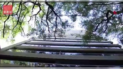 Ruben Rojkes presenta lo nuevo de Constructora Avanco