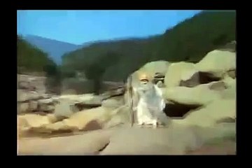 맥스카지노 https://www.css900.com【∥카지노사이트∥】