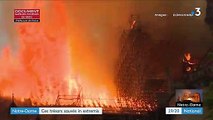 Incendie de Notre-Dame de Paris : des trésors ont été sauvés de justesse