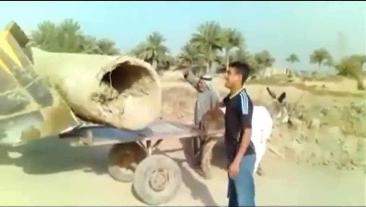 Transportes Que No Creerías #2019 (Transports that you would not believe)