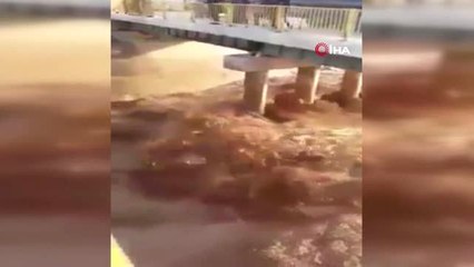 İran'daki Sel Irak'ı Bastı, Bin Aile Tahliye Edildi