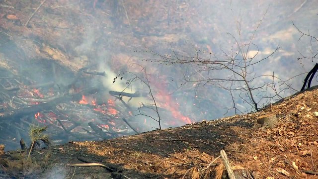 건조한 날씨 속 산불 잇따라...승용차 충돌 뒤 상가 돌진 / YTN