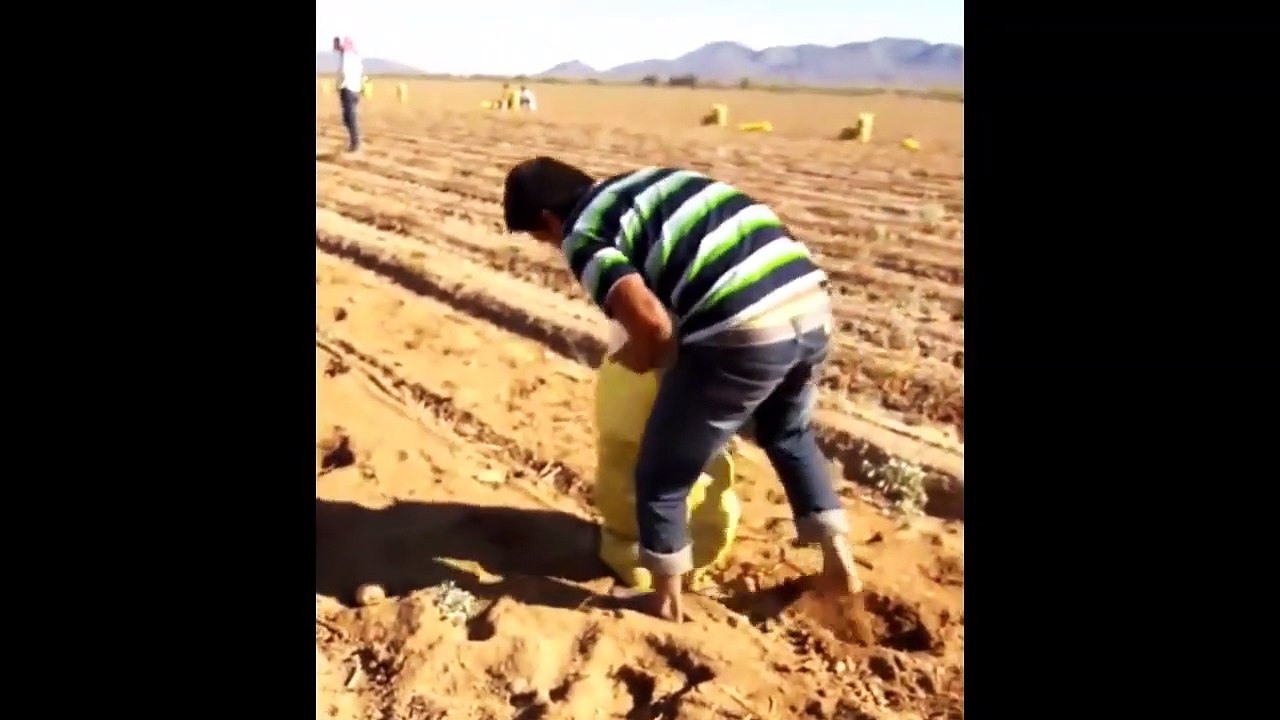 GOD LEVEL WORKERS #2019  (Trabajadores Genios y Rápidos nivel pro)