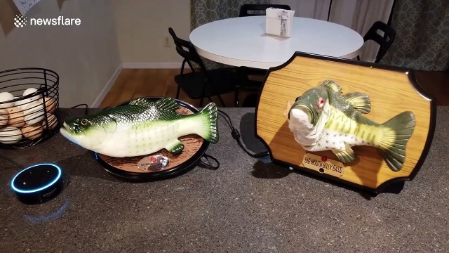 New Big Mouth Billy Bass vs. DIY Alexa Big Mouth Billy Bass