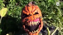 Best Halloween Prank Video