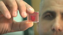 Israeli scientists print 3D heart with human tissue and vessels