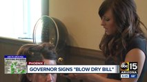 Arizona governor axes licenses for blow-dry salons