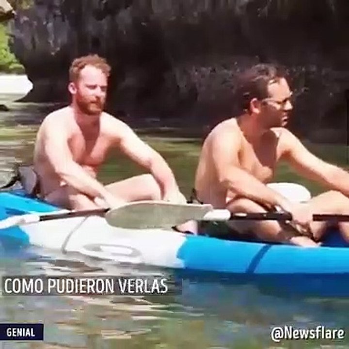 Nuevo