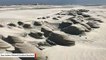 Strong Winds Created These Otherworldly Sand Formations On Outer Banks Beach