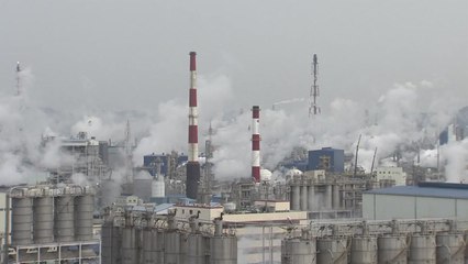 미세먼지 물질 배출량 조작한 대기업 등 무더기 적발 / YTN