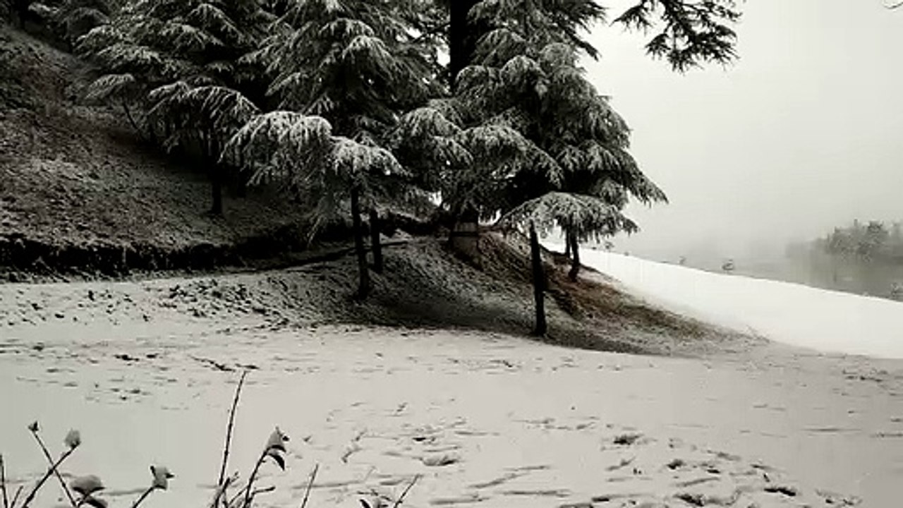 Beauty of nature