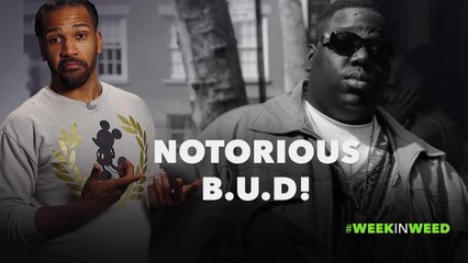 This Week in Weed: Notorious B.U.D!