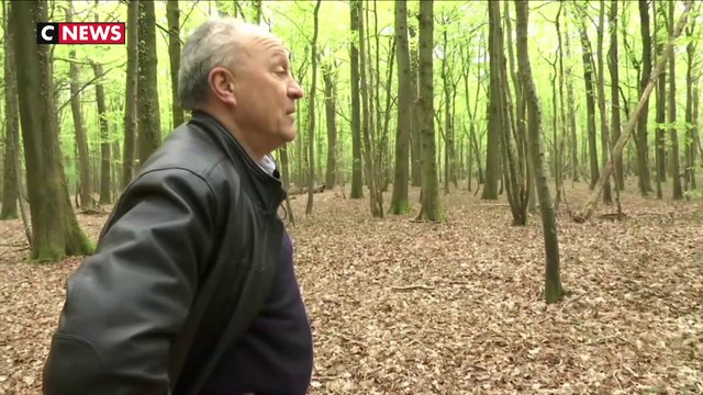 Reconstruction de Notre-Dame : les propriétaires de forêts mis à contribution