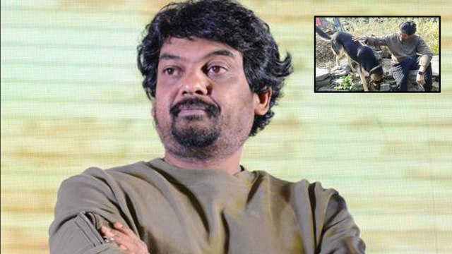 Tollywood Director Puri Jagannath's Dog Jax No More || Filmibeat Telugu