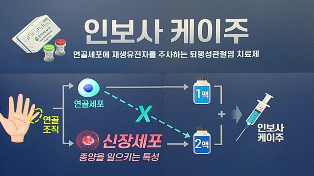 [뉴스TMI] 알고 보니 다른 성분? 인보사 사태...진짜 성분과 쟁점 / YTN