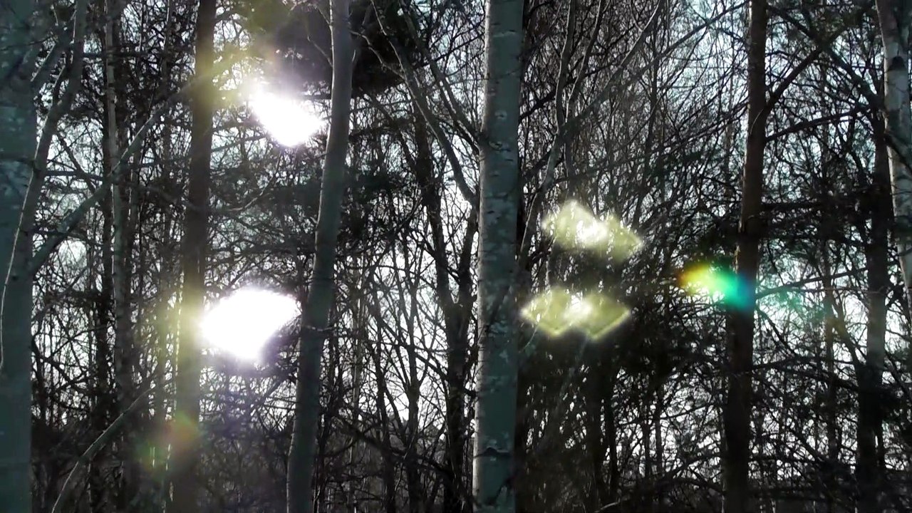 March 22 2019 DL1