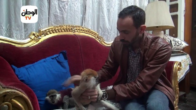 بيطري يتواصل مع النسانيس والثعابين : مبخافش إلا من البني آدمين