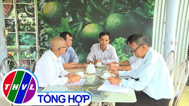 THVL | Nông thôn ngày nay - Vai trò hợp tác xã trong xây dựng nông thôn mới