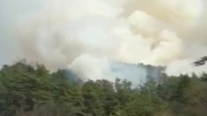 경기 안성 야산서 불..."용접 불꽃 튀어" / YTN