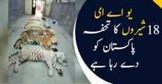 UAE is giving gifts of 18 tigers to Pakistan