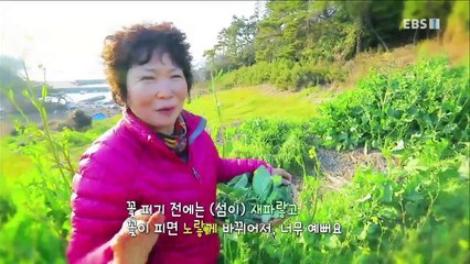 한국기행 - Korea travel_소쿠리에 담아 봄 4부- 청산도, 봄이 오나 봄_#001