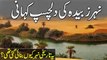 Nehr-e-Zubaida Ki Tareekh | History Of Zubaida Canal | نہر زبیدہ تاریخ | Urdu/Hindi