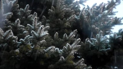 Kars'ta Bahar Karı Etkisini Sürdürüyor