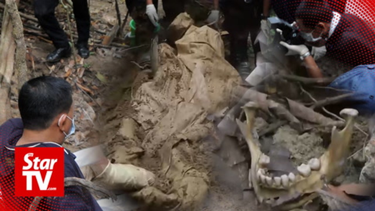 Wang Kelian RCI: Soap bubbles in stream led to human trafficking discovery