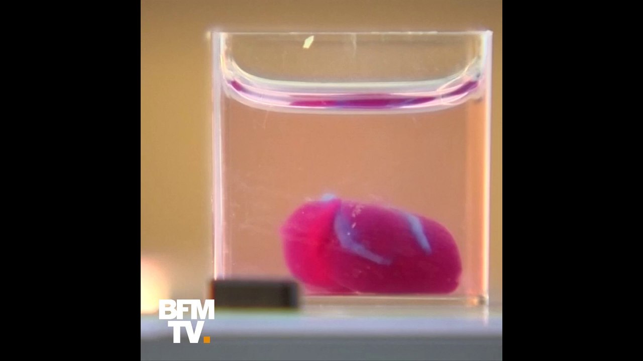 Voici le premier cœur imprimé en 3D et réalisé à partir de cellules humaines