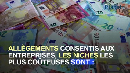 Supprimer les niches fiscales, une fausse bonne idée ?