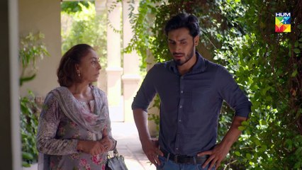 Log Kia Kahengay Episode #53 HUM TV Drama 17 April 2019