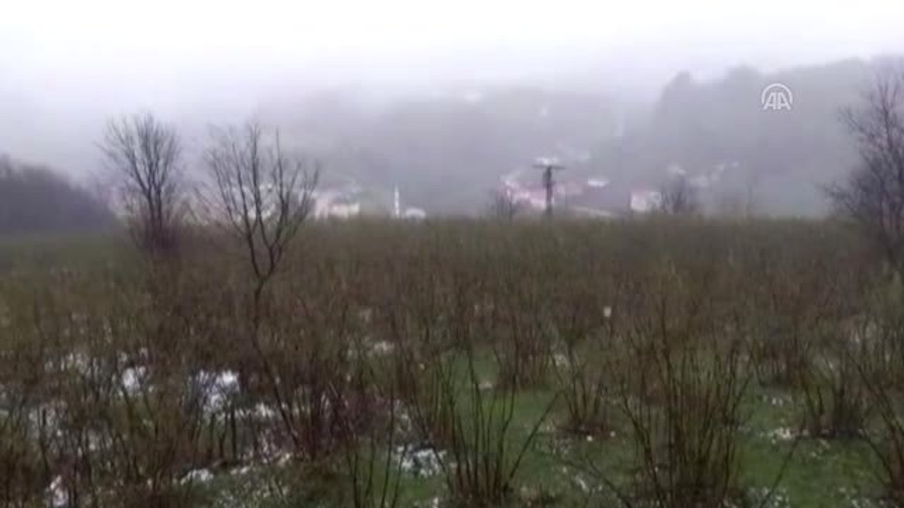 Ordu'da Nisanda Kar Yağışı