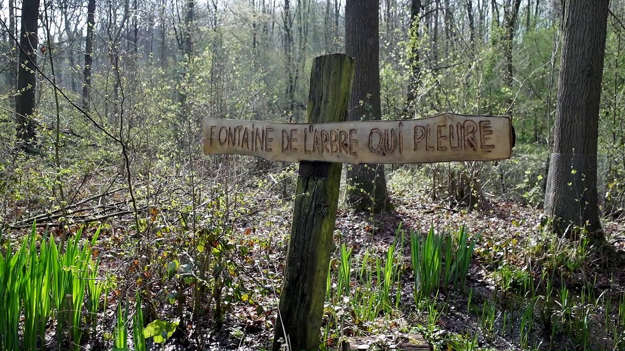 Printemps Grandeur nature en Brabant wallon