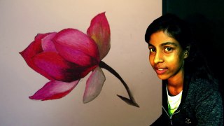lotus flower painting easy in Oil pastel color _ Miten tehdä lotus kukka maalaus öljy pastelliväri
