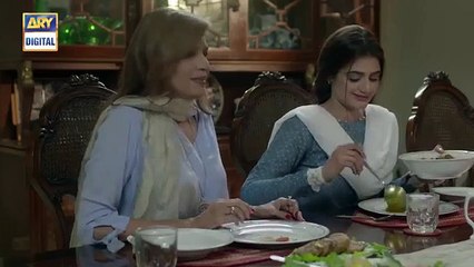 Do Bol Ep 17 _ 17th April 2019 _ Best Pakistani Dramas