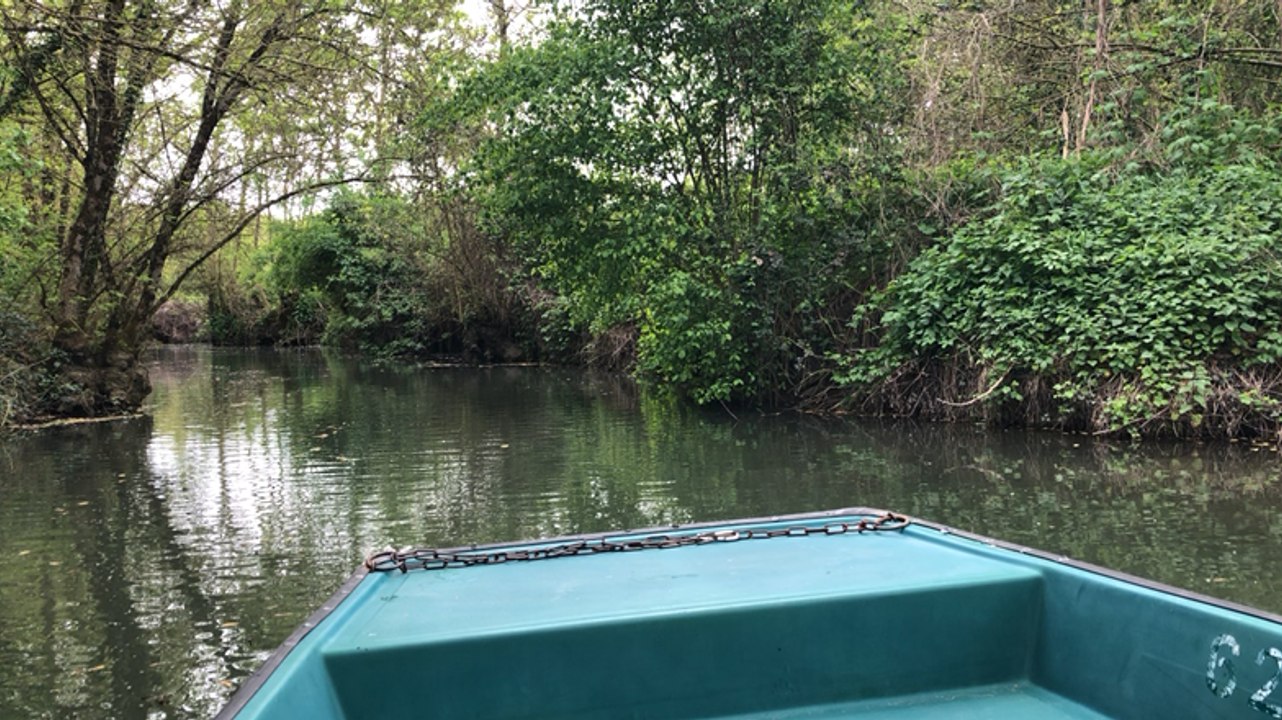 Balade et anecdotes sur le Marais Poitevin