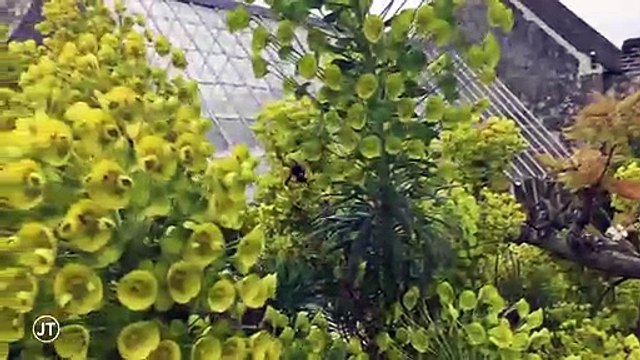 Jardin: attention aux saints de glace